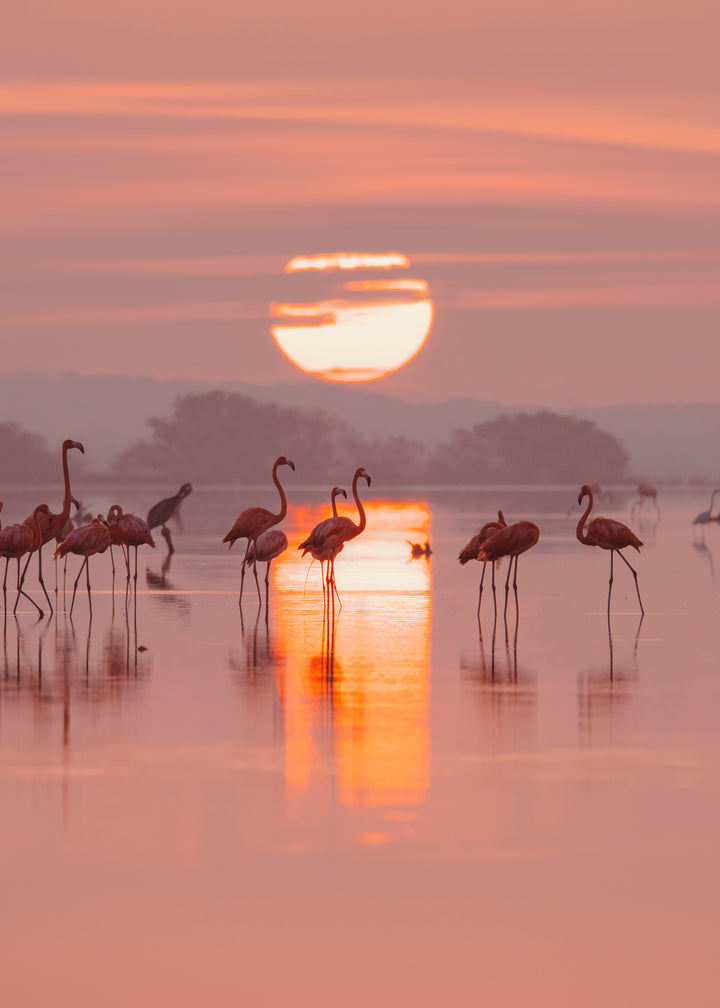 Amanecer en Yucatán