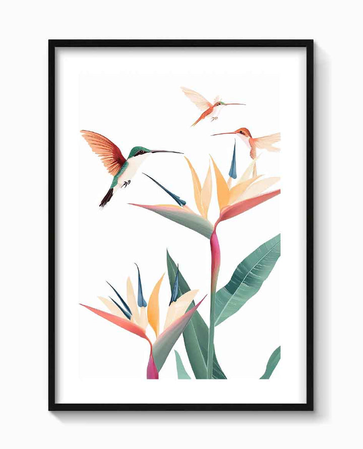 COLIBRÍES TROPICALES